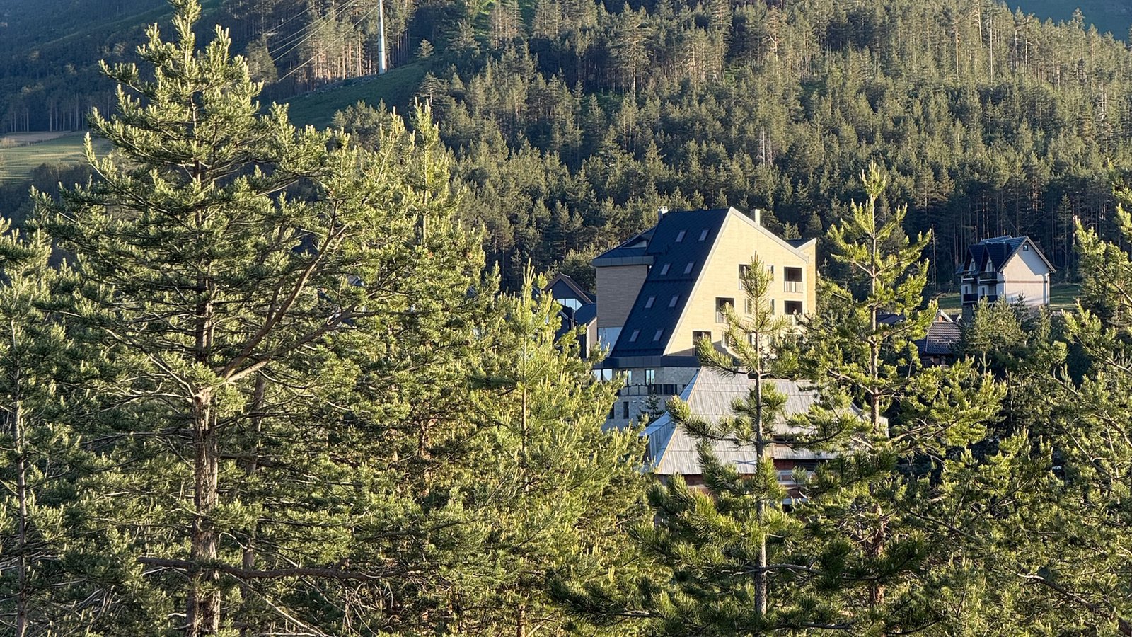 Borovi i sneg u podnožju Tornika